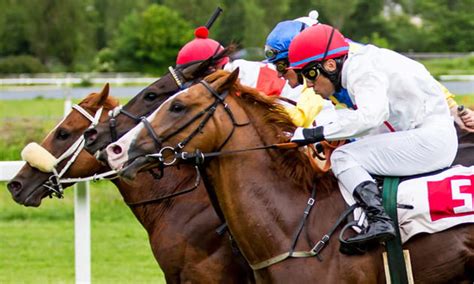 betfaro|Horse Racing Bet of the Day .